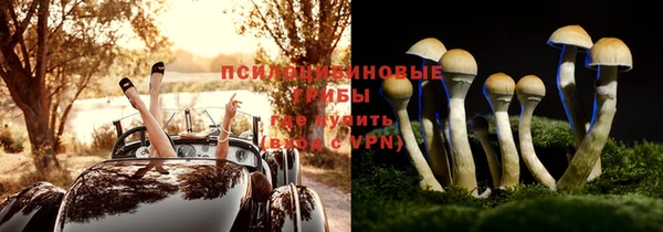 дживик Гусь-Хрустальный