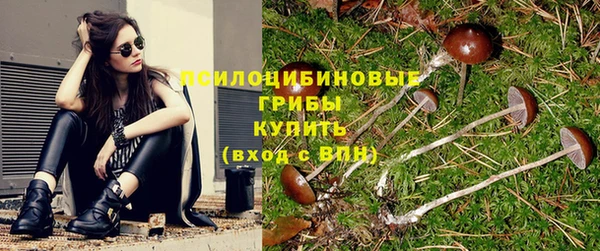 наркотики Гусев